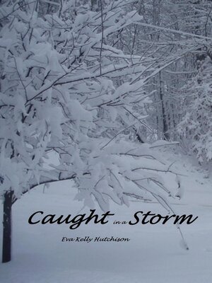 cover image of Caught in a Storm